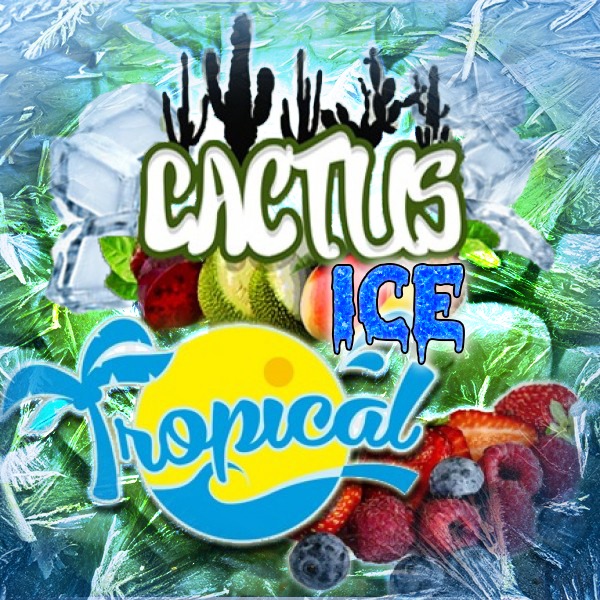  Cactus Tropikal ICE 